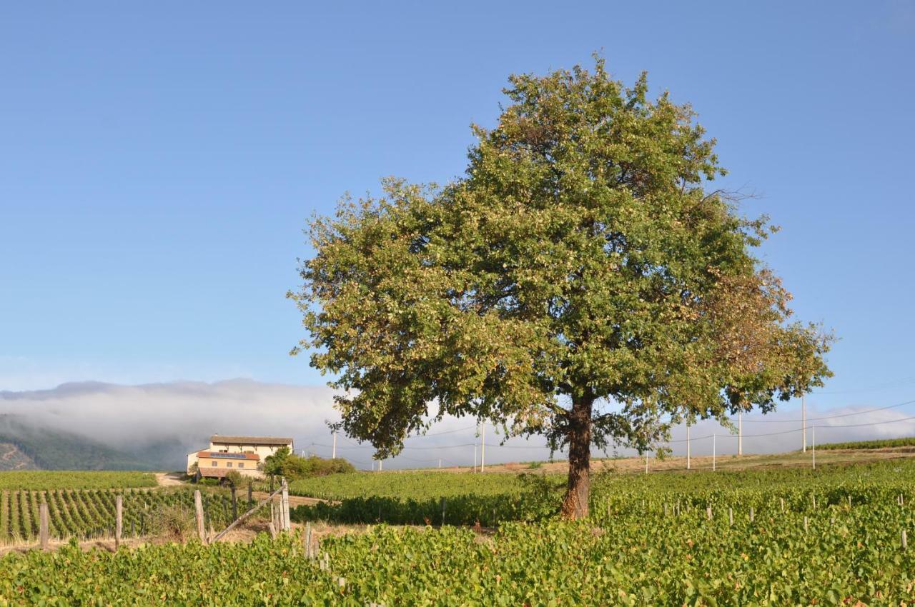 Gite Le Pot De Vin Lancié Esterno foto
